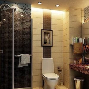 Bathroom Renovation