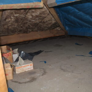 insulation